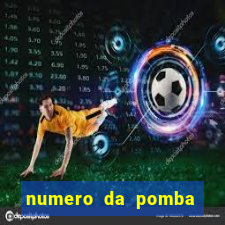 numero da pomba jogo do bicho