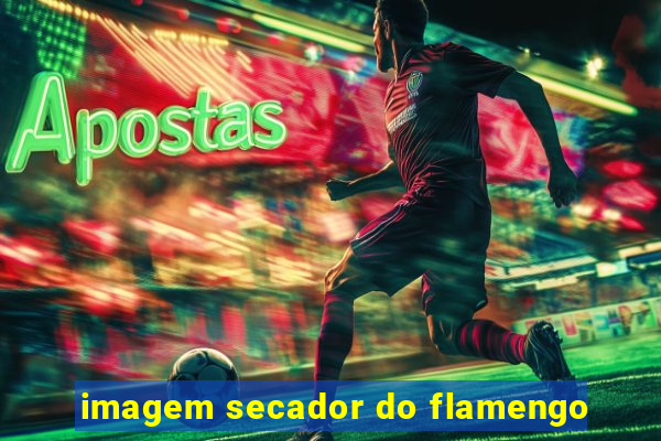 imagem secador do flamengo