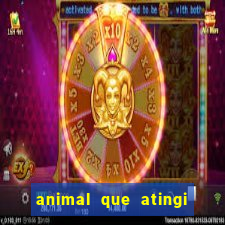 animal que atingi 230 decibeis