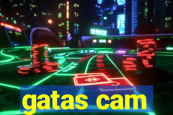 gatas cam