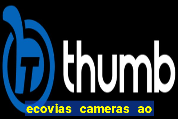 ecovias cameras ao vivo santos