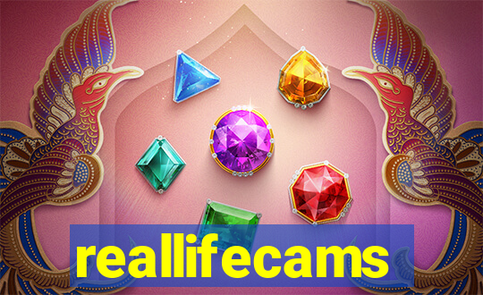 reallifecams