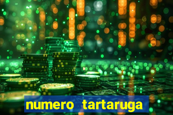 numero tartaruga jogo do bicho