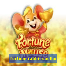 fortune rabbit coelho