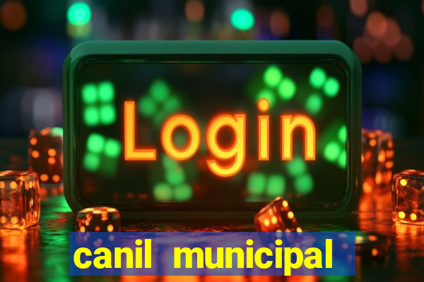 canil municipal porto alegre