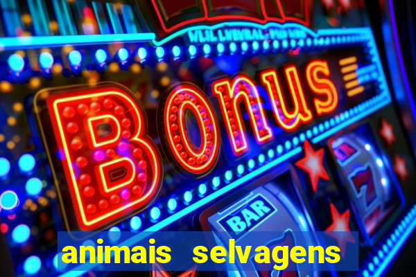 animais selvagens fotos e nomes