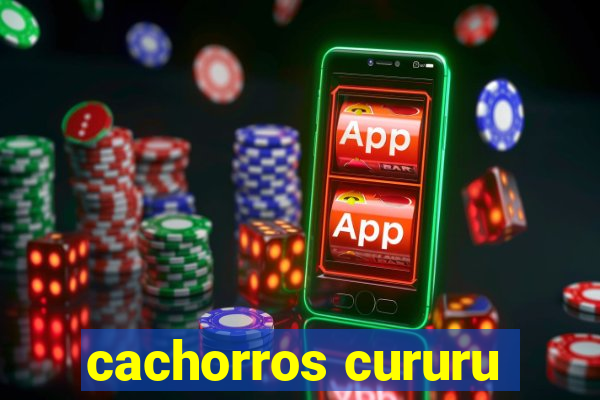 cachorros cururu