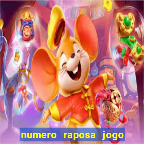 numero raposa jogo do bicho