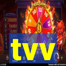 tvv-pg.com