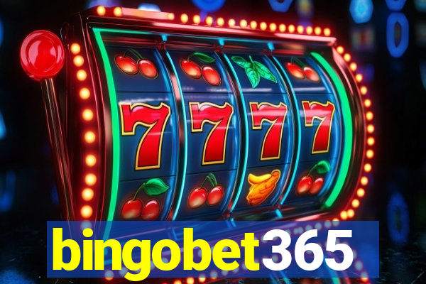 bingobet365